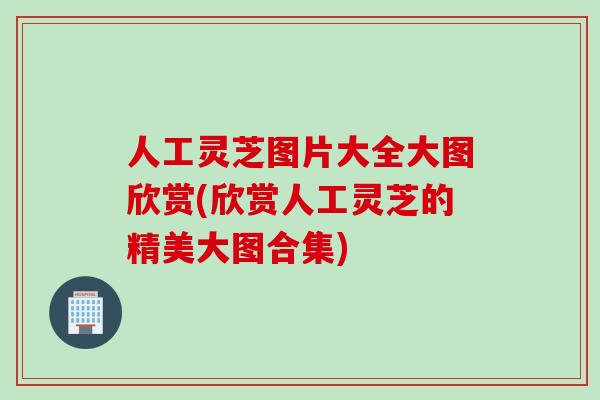 人工灵芝图片大全大图欣赏(欣赏人工灵芝的精美大图合集)
