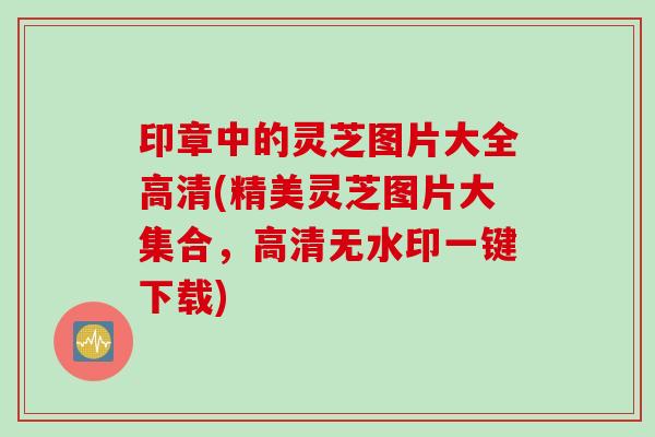 印章中的灵芝图片大全高清(精美灵芝图片大集合，高清无水印一键下载)