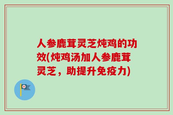 人参鹿茸灵芝炖鸡的功效(炖鸡汤加人参鹿茸灵芝,助提升免疫力) 人参鹿茸灵芝炖鸡的功效(炖鸡汤加人参鹿茸灵芝,助提升免疫力)