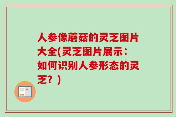 人参像蘑菇的灵芝图片大全(灵芝图片展示：如何识别人参形态的灵芝？)