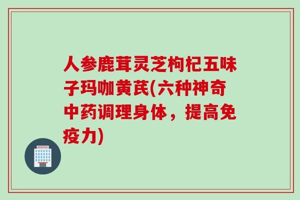 人参鹿茸灵芝枸杞五味子玛咖黄芪(六种神奇中药调理身体，提高免疫力)