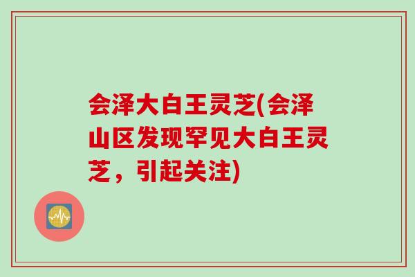 会泽大白王灵芝(会泽山区发现罕见大白王灵芝，引起关注)
