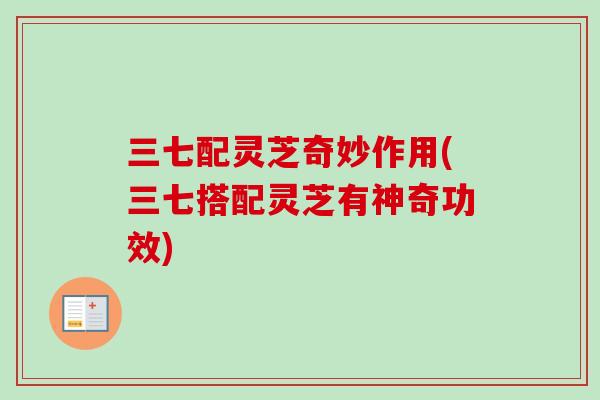三七配灵芝奇妙作用(三七搭配灵芝有神奇功效)