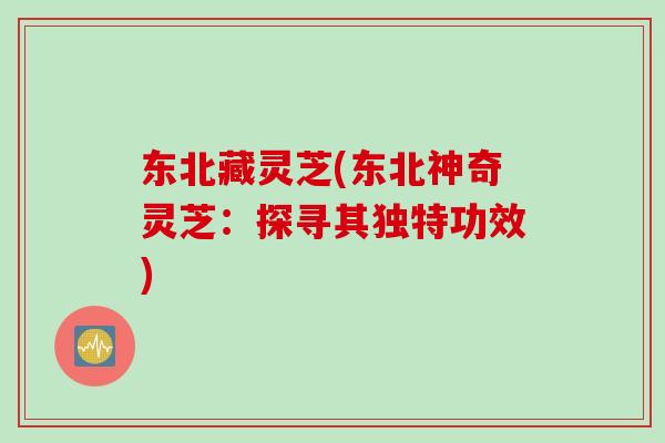 东北藏灵芝(东北神奇灵芝：探寻其独特功效)
