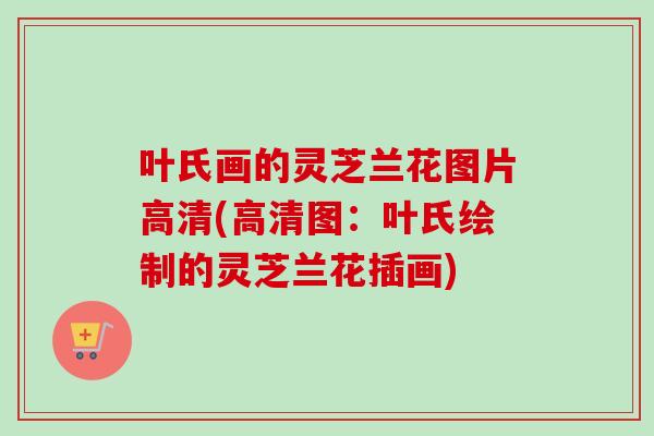 叶氏画的灵芝兰花图片高清(高清图：叶氏绘制的灵芝兰花插画)