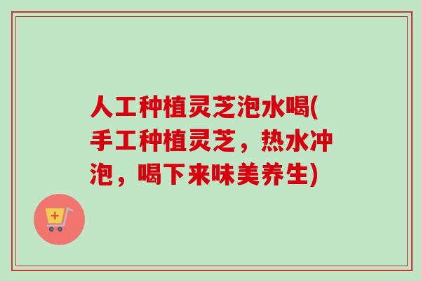 人工种植灵芝泡水喝(手工种植灵芝，热水冲泡，喝下来味美养生)