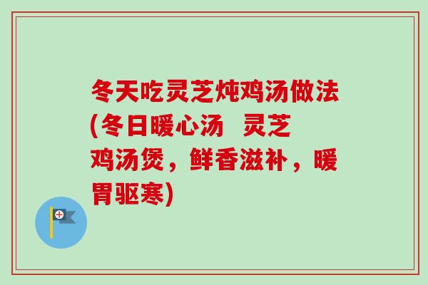 冬天吃灵芝炖鸡汤做法(冬日暖心汤  灵芝鸡汤煲，鲜香滋补，暖胃驱寒)