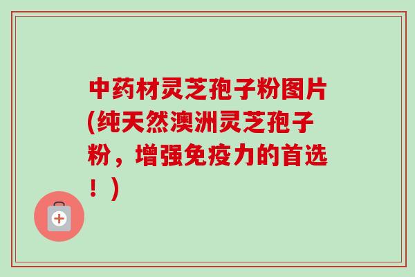 中药材灵芝孢子粉图片(纯天然澳洲灵芝孢子粉，增强免疫力的首选！)