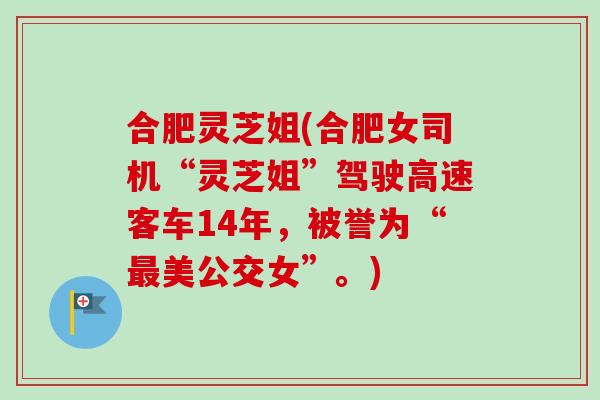 合肥灵芝姐(合肥女司机“灵芝姐”驾驶高速客车14年，被誉为“最美公交女”。)
