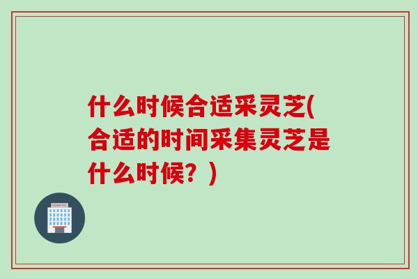 什么时候合适采灵芝(合适的时间采集灵芝是什么时候？)