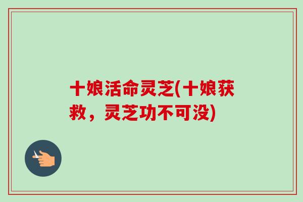 十娘活命灵芝(十娘获救，灵芝功不可没)