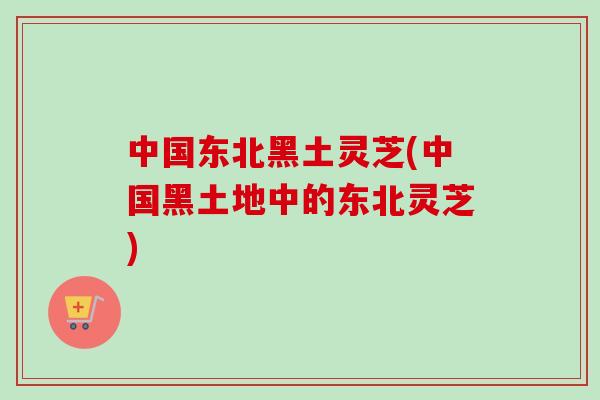 中国东北黑土灵芝(中国黑土地中的东北灵芝)