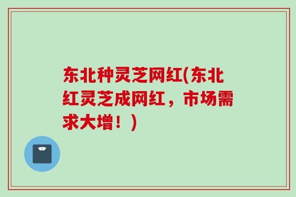 东北种灵芝网红(东北红灵芝成网红，市场需求大增！)