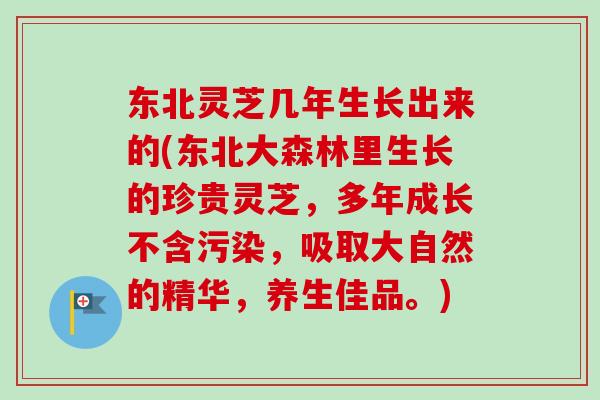 东北灵芝几年生长出来的(东北大森林里生长的珍贵灵芝，多年成长不含污染，吸取大自然的精华，养生佳品。)