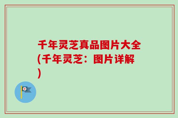 千年灵芝真品图片大全(千年灵芝：图片详解)