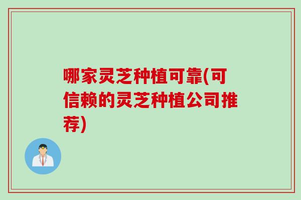 哪家灵芝种植可靠(可信赖的灵芝种植公司推荐)