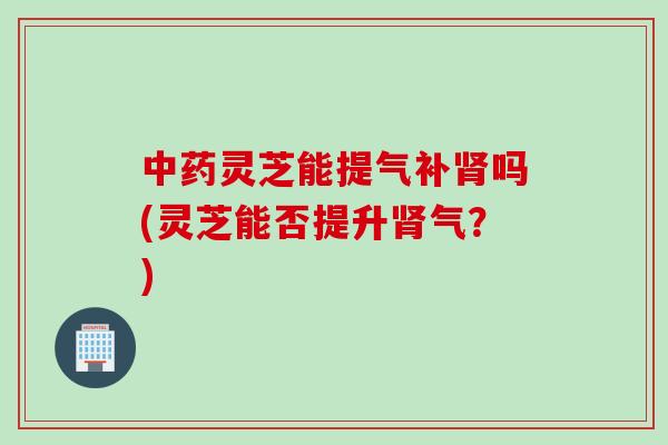 中药灵芝能提气补肾吗(灵芝能否提升肾气？)