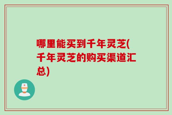 哪里能买到千年灵芝(千年灵芝的购买渠道汇总)