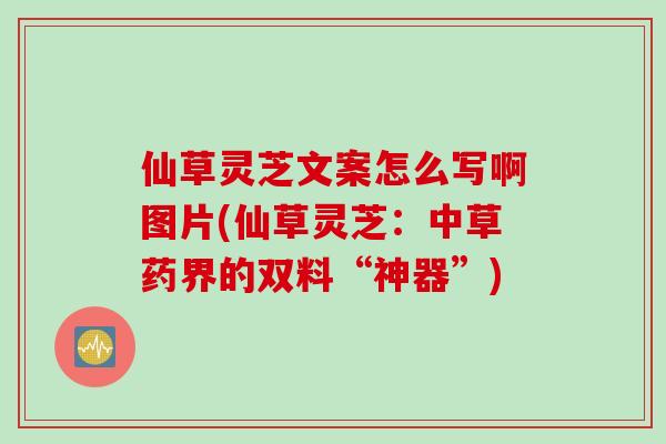 仙草灵芝文案怎么写啊图片(仙草灵芝：中草药界的双料“神器”)
