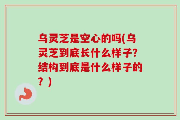 乌灵芝是空心的吗(乌灵芝到底长什么样子？结构到底是什么样子的？)
