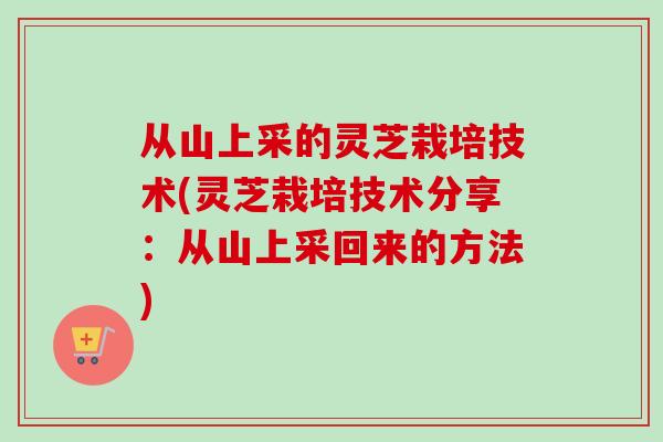 从山上采的灵芝栽培技术(灵芝栽培技术分享：从山上采回来的方法)