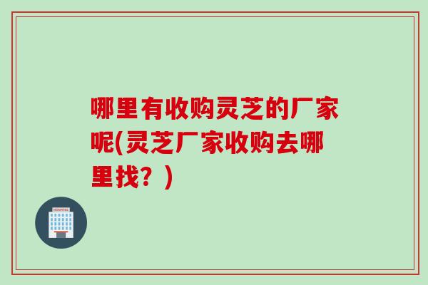 哪里有收购灵芝的厂家呢(灵芝厂家收购去哪里找？)