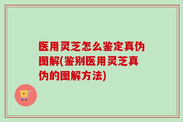医用灵芝怎么鉴定真伪图解(鉴别医用灵芝真伪的图解方法)