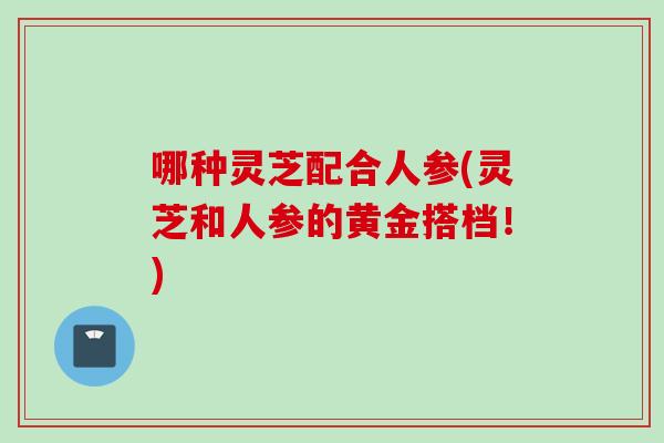 哪种灵芝配合人参(灵芝和人参的黄金搭档！)