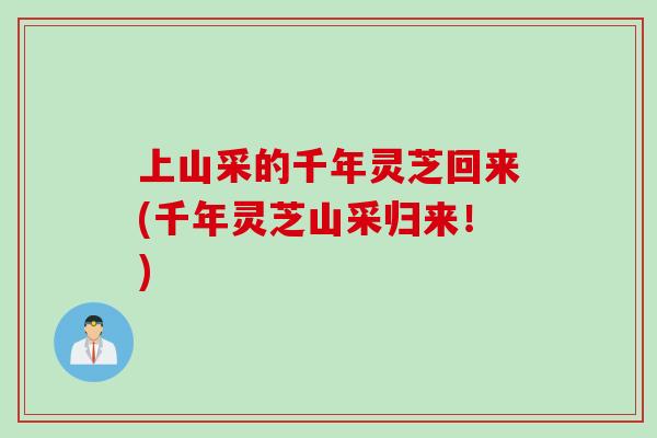 上山采的千年灵芝回来(千年灵芝山采归来！)
