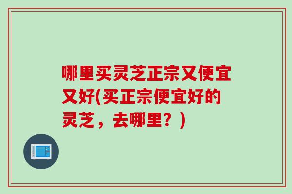 哪里买灵芝正宗又便宜又好(买正宗便宜好的灵芝，去哪里？)