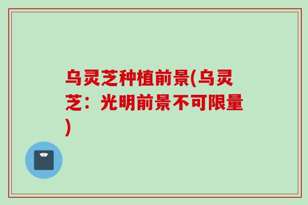 乌灵芝种植前景(乌灵芝：光明前景不可限量)