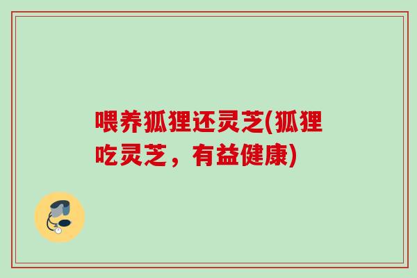 喂养狐狸还灵芝(狐狸吃灵芝，有益健康)