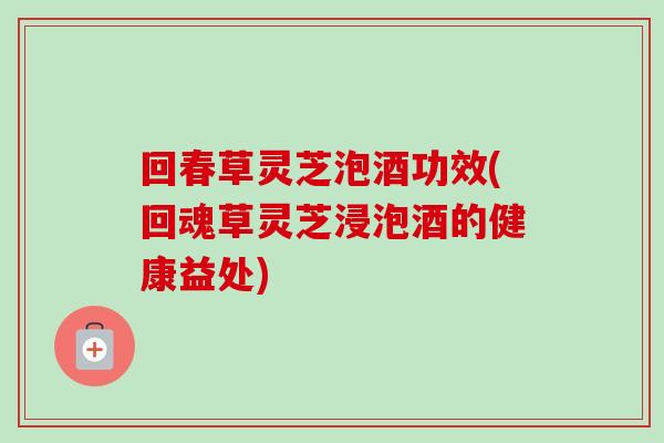 回春草灵芝泡酒功效(回魂草灵芝浸泡酒的健康益处)