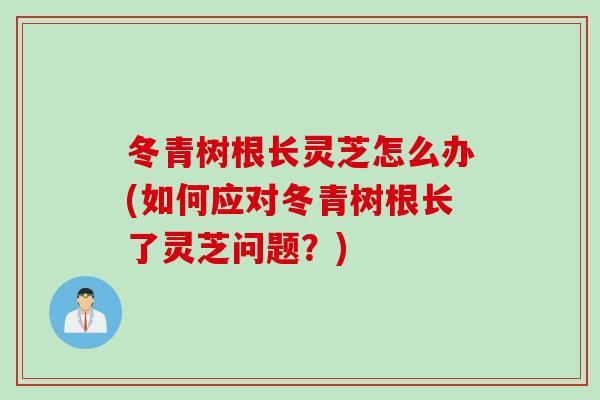 冬青树根长灵芝怎么办(如何应对冬青树根长了灵芝问题？)