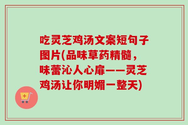 吃灵芝鸡汤文案短句子图片(品味草药精髓，味蕾沁人心扉——灵芝鸡汤让你明媚一整天)