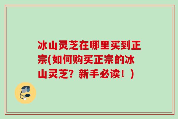 冰山灵芝在哪里买到正宗(如何购买正宗的冰山灵芝？新手必读！)
