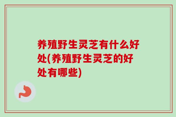 养殖野生灵芝有什么好处(养殖野生灵芝的好处有哪些)