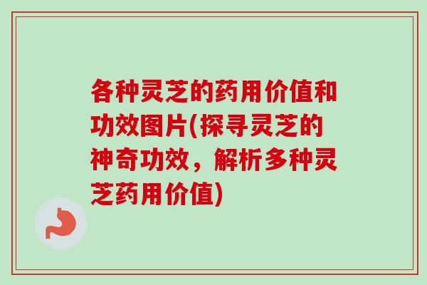 各种灵芝的药用价值和功效图片(探寻灵芝的神奇功效，解析多种灵芝药用价值)