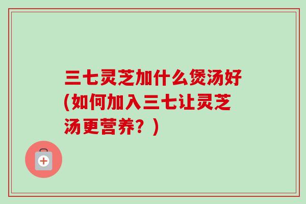 三七灵芝加什么煲汤好(如何加入三七让灵芝汤更营养？)