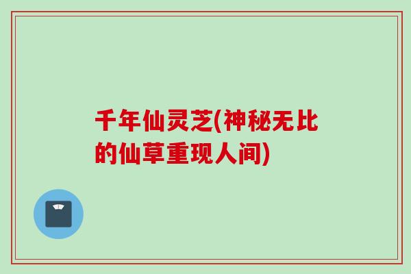 千年仙灵芝(神秘无比的仙草重现人间)