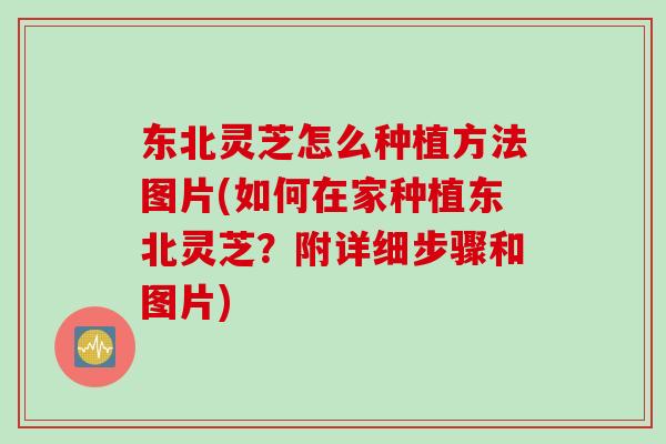 东北灵芝怎么种植方法图片(如何在家种植东北灵芝？附详细步骤和图片)