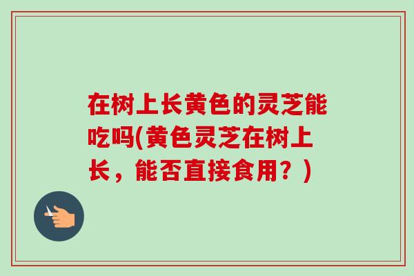 在树上长黄色的灵芝能吃吗(黄色灵芝在树上长，能否直接食用？)