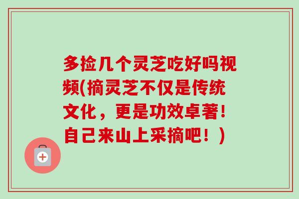 多捡几个灵芝吃好吗视频(摘灵芝不仅是传统文化，更是功效卓著！自己来山上采摘吧！)