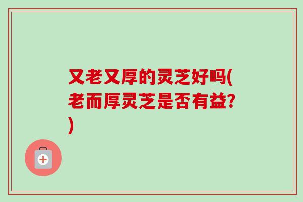 又老又厚的灵芝好吗(老而厚灵芝是否有益？)