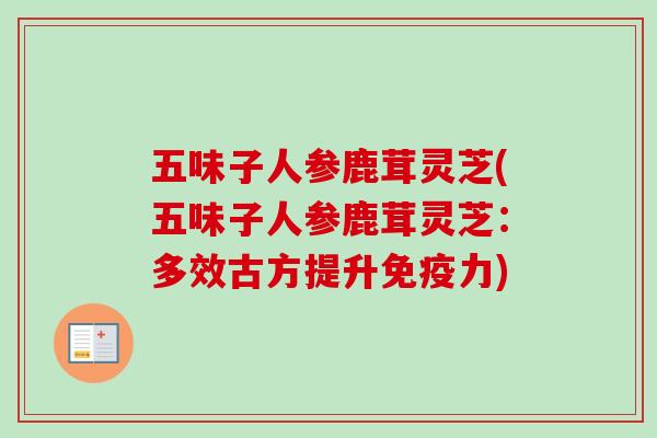 五味子人参鹿茸灵芝(五味子人参鹿茸灵芝：多效古方提升免疫力)