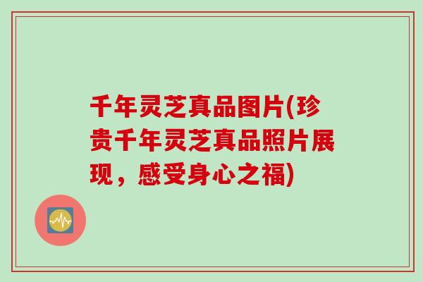 千年灵芝真品图片(珍贵千年灵芝真品照片展现，感受身心之福)