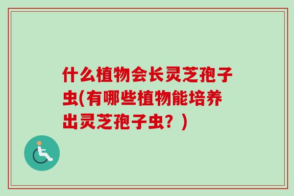 什么植物会长灵芝孢子虫(有哪些植物能培养出灵芝孢子虫？)