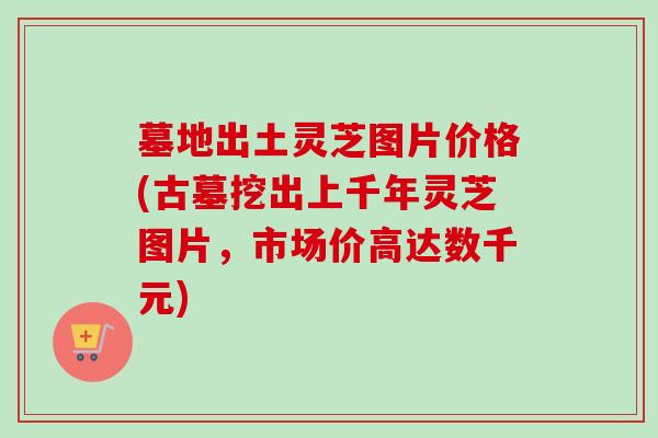 墓地出土灵芝图片价格(古墓挖出上千年灵芝图片,市场价高达数千元) 墓地出土灵芝图片价格(古墓挖出上千年灵芝图片,市场价高达数千元)
