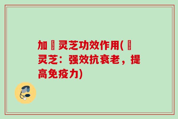 加矴灵芝功效作用(矴灵芝：强效抗衰老，提高免疫力)