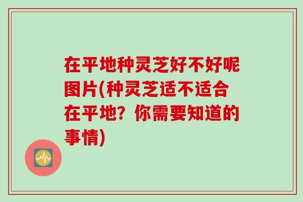 在平地种灵芝好不好呢图片(种灵芝适不适合在平地?你需要知道的事情) 在平地种灵芝好不好呢图片(种灵芝适不适合在平地?你需要知道的事情)